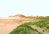 Dunes Beach House - sand beach and dunes