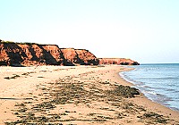 Dunes Beach House - Penderosa Beach