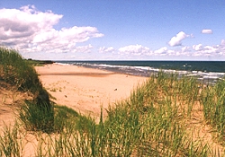 Dunes Beach House - Penderosa Beach