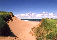 Dunes Beach House - sandy path through dunes to the beach